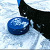 Professional Hockey
